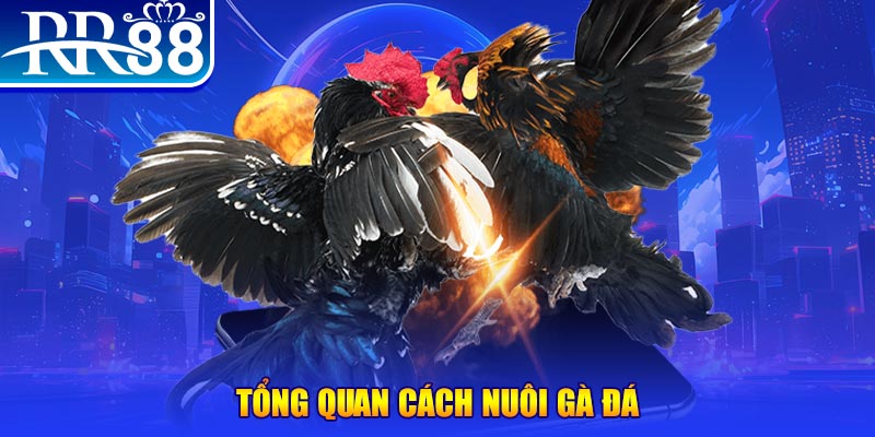 88i win game nổ hũ rút tiền mặt là gì
