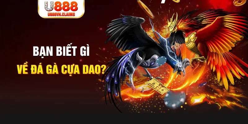 88i win SW Xổ Số
