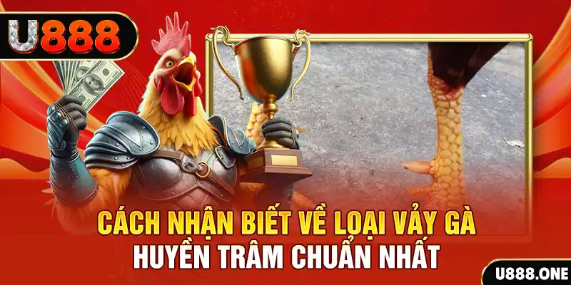 88i win đăng nhập nổ hũ số 1