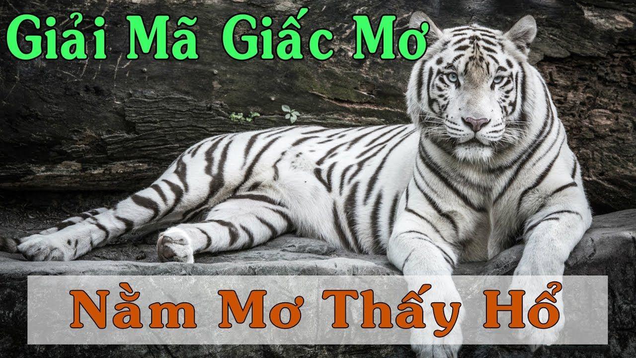 88i win nổ hũ là game gì