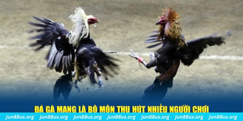 88i win nổ hủ nghĩa là gì