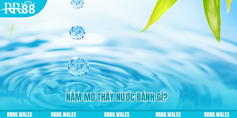 88i win TCG Xổ Số