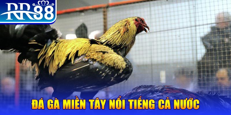 88i win xổ số đại phát