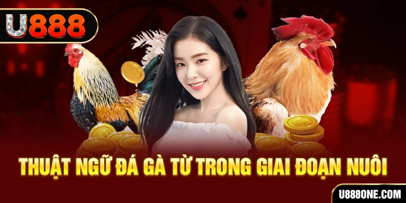 88i win xổ số miền bắc 90 ngày