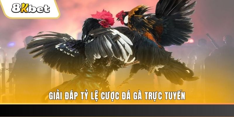 88i win ga choi cau thanh