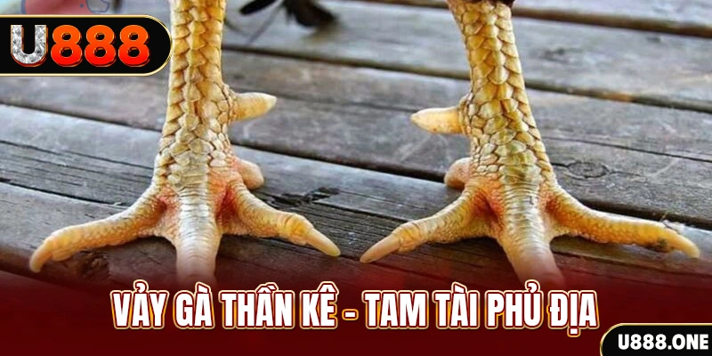 88i win xổ số miền trung thứ hai hàng tuần