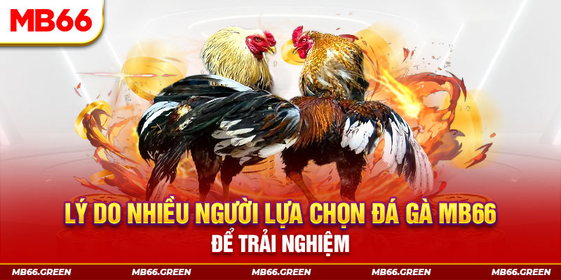 88i win đăng nhập liêng trực tiếp