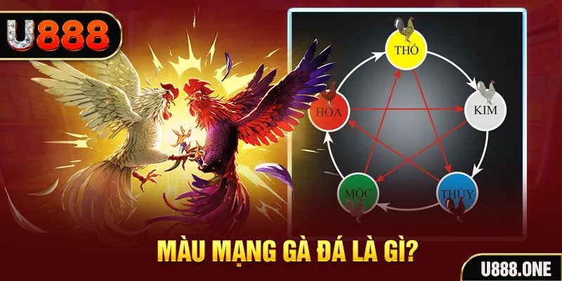88i win xổ số miền trung thứ tư hàng tuần