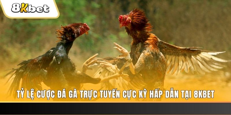 88i win đăng nhập nổ hũ trực tuyến