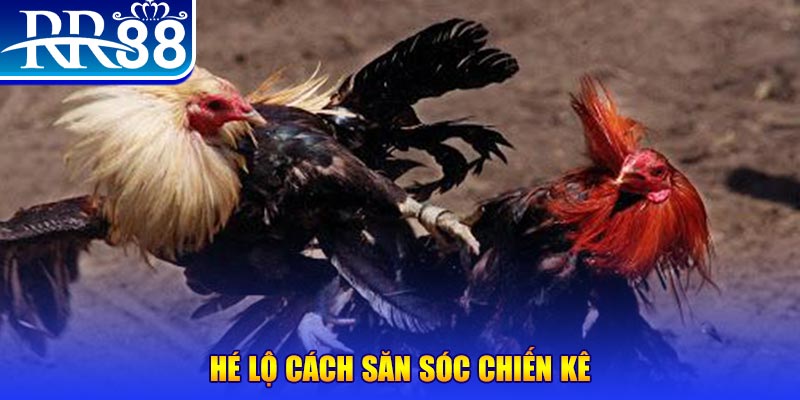 88i win xổ số miền trung thứ tư