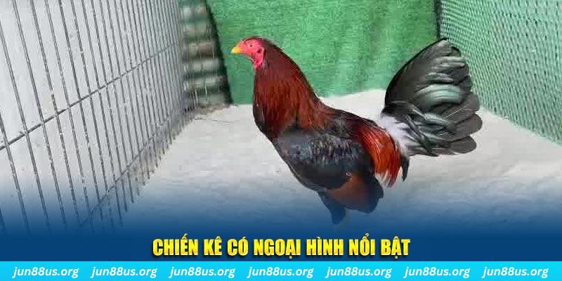 88i win game bắn cá